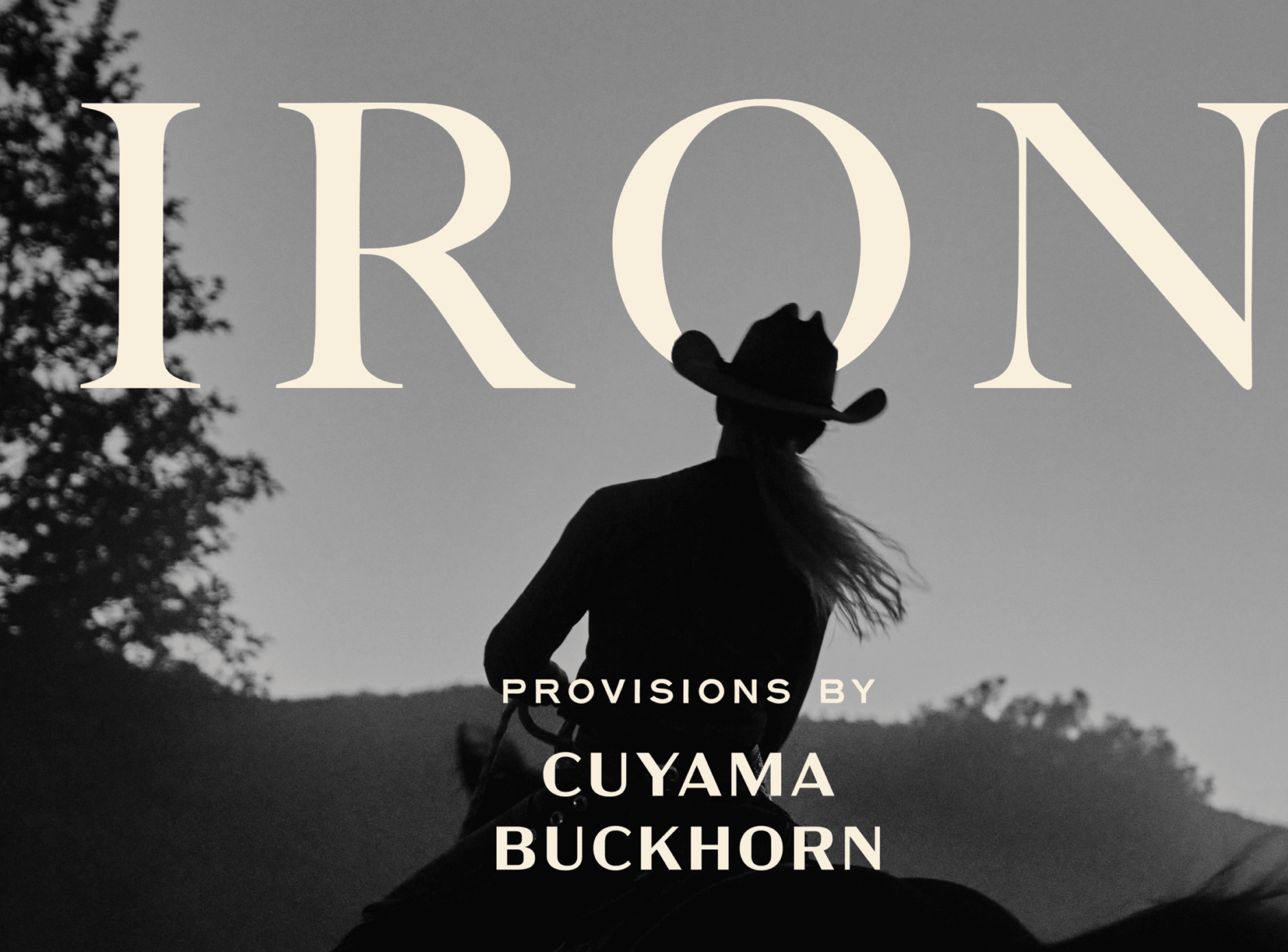 Iron Rodeo #6, Cuyama Buckhorn