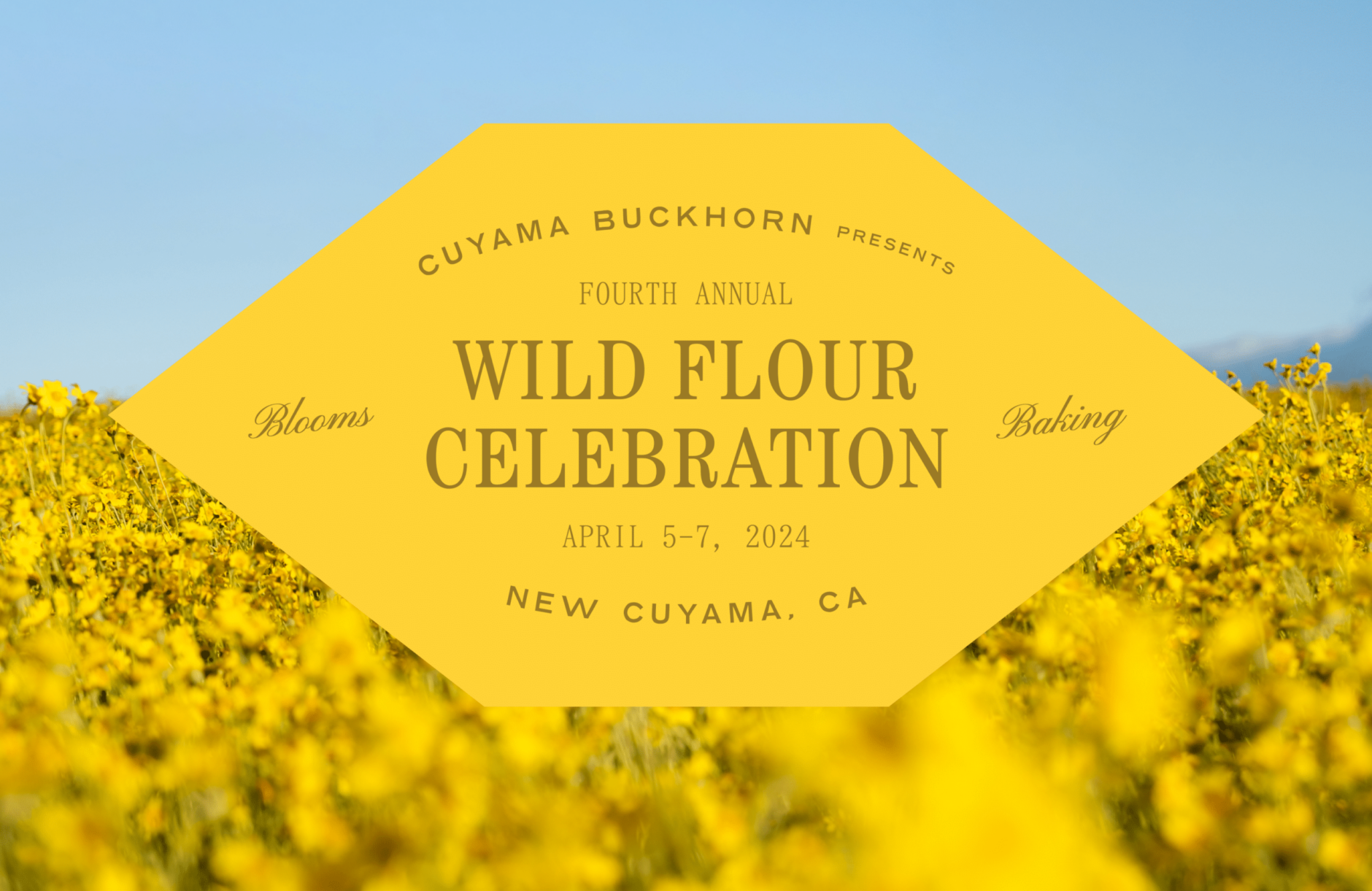 Wild Flour Celebration, Cuyama Buckhorn